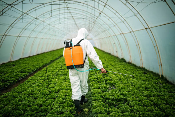 Pest Control Cost in Dadeville, AL
